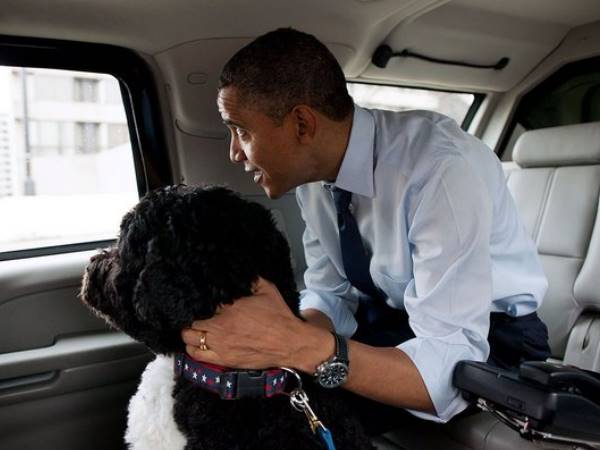 Barack obama Barack obama