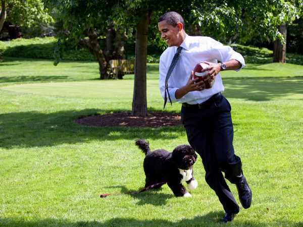 barack obama barack obama