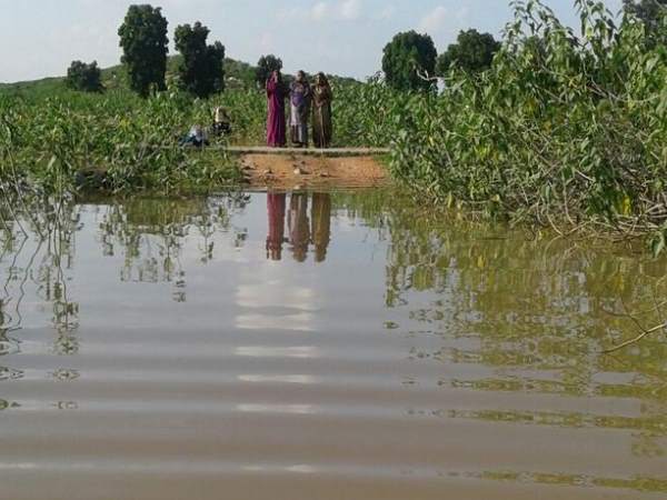 Pregnant woman reached hospital Pregnant woman reached hospital