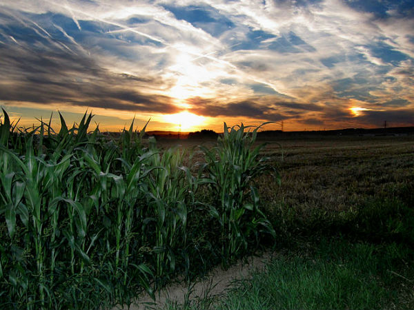 गुरु जीवन है तो सूर्य आत्मा