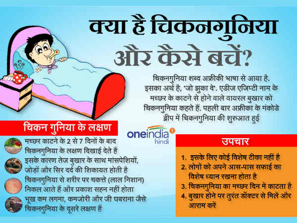 चिकनगुनिया का मच्छर दिन में काटता है चिकनगुनिया का मच्छर दिन में काटता है