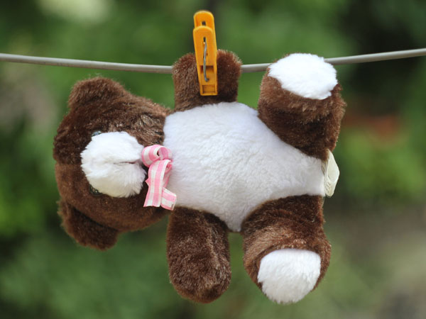 toy