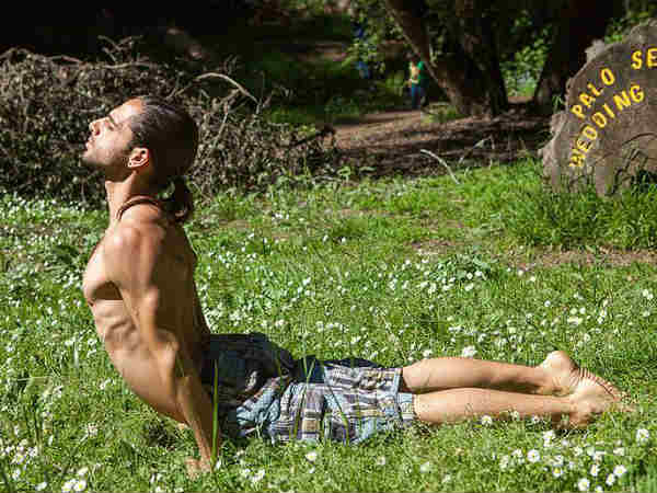 उर्ध्व मुख श्वानासन