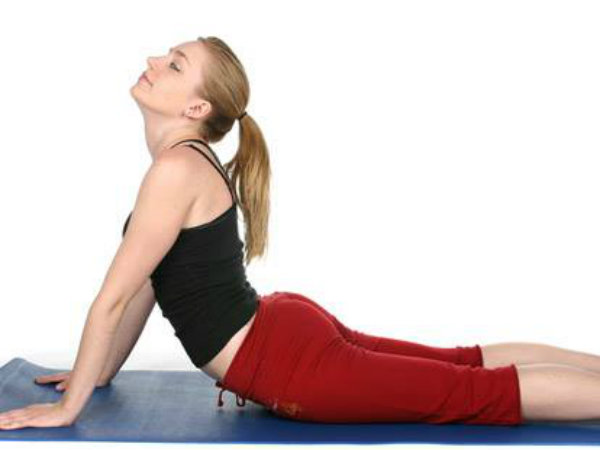 फन उठाए हुए भुजंग अर्थात सर्प