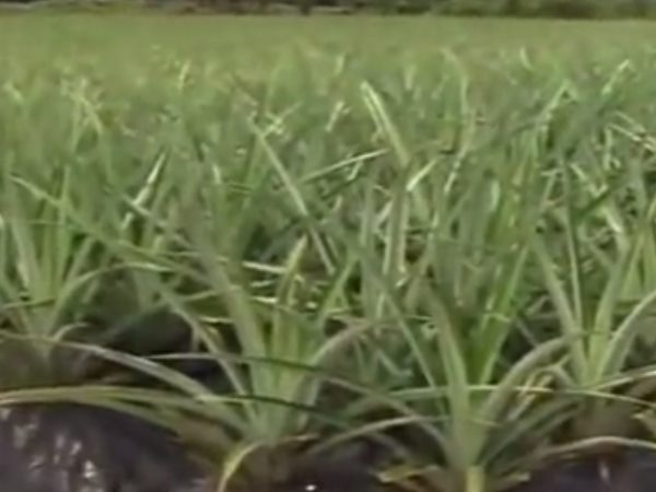 खेती से हुआ मोहभंग