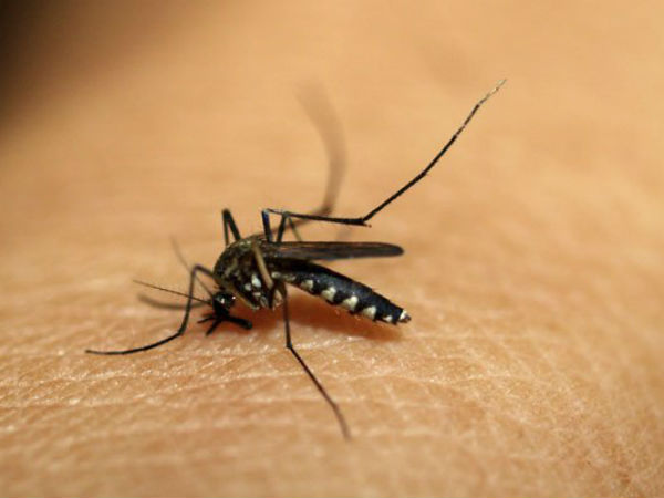 Home remedies for joint pain after Chikungunya Home remedies for joint pain after Chikungunya