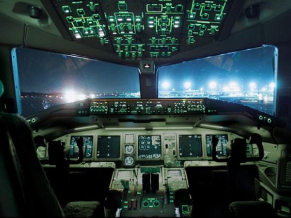 दो अलग-अलग फ्लाइट में की ऐसी हरकतें