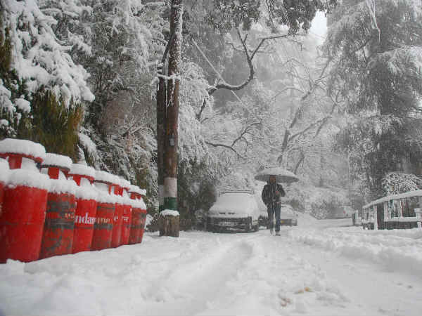 Himachal Pradesh: Kufri witnesses heavy snowfalls, white Christmas delights Dalhousie Himachal Pradesh: Kufri witnesses heavy snowfalls, white Christmas delights Dalhousie