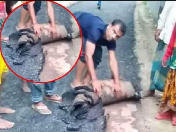 8. बिहार की सड़क को लेकर वायरल हुआ झूठ