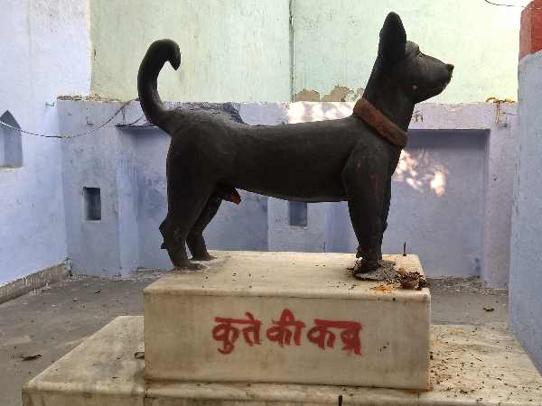 100 साल पुराने मंदिर में कुत्ते की कब्र