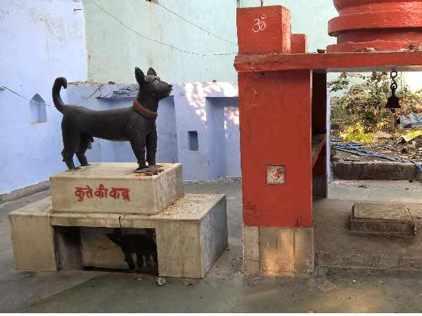 बाबा के साथ ही ले ली थी कुत्ते ने समाधि