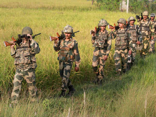 किसकी कितनी कैलोरी किसकी कितनी कैलोरी