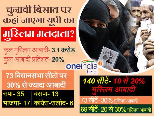 यूपी में मुस्लिम वोट कितने हैं?