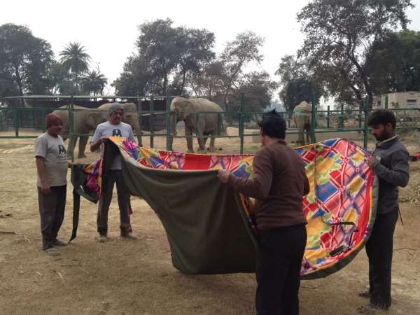 20 मीटर रेग्जीन से जैकेट बनाई जा रही 