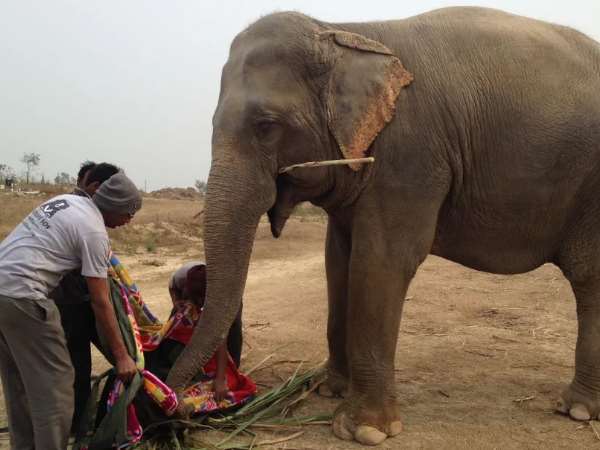 2010 में यह संरक्षण केंद्र शुरू किया गया