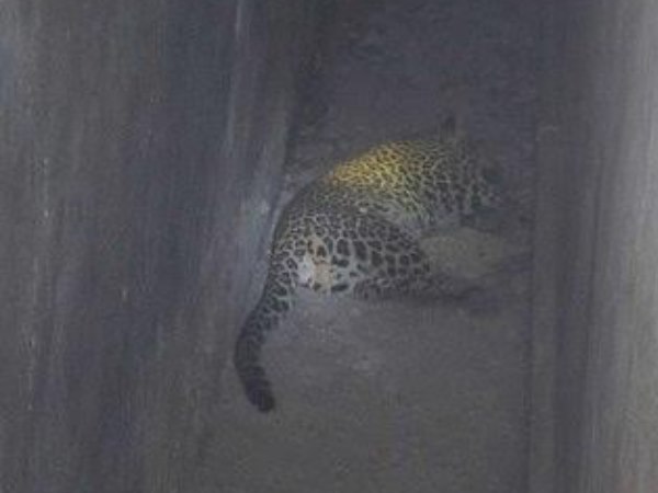 पुलिस को दी गई तुंरत सूचना