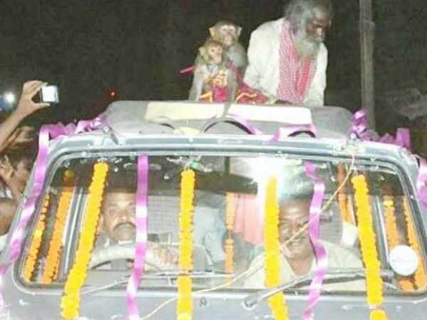 धूमधाम से हुई थी बंदर-बंदरिया की शादी