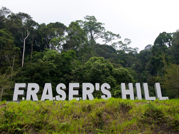 reasons why you have to visit malaysia