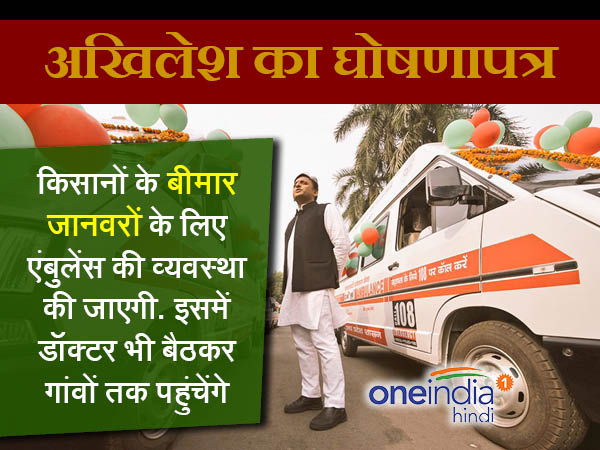 पशु ऐंबुलेंस