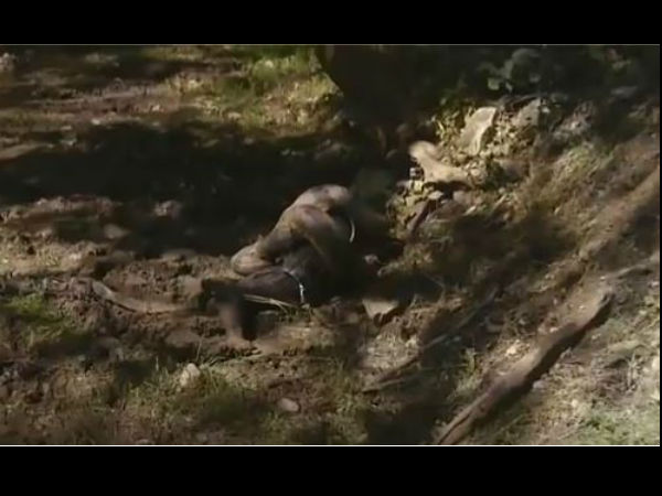 This Man Was ‘Eaten Alive’ By Anaconda On Live TV. What Happened Next Was Unbelievable This Man Was ‘Eaten Alive’ By Anaconda On Live TV. What Happened Next Was Unbelievable