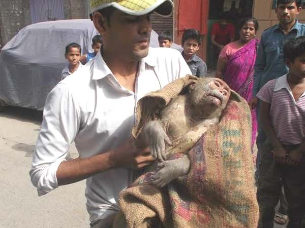 बरेली: इस खबर को पढ़कर आप कहेंगे इंसानियत जिंदा है, मेनका गांधी ने भी किया सलाम बरेली: इस खबर को पढ़कर आप कहेंगे इंसानियत जिंदा है, मेनका गांधी ने भी किया सलाम