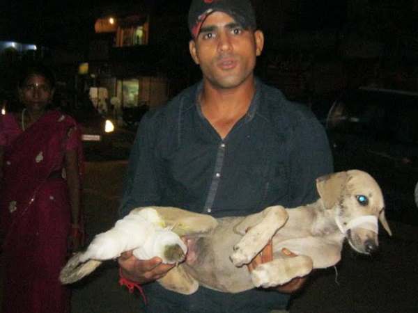 बरेली: इस खबर को पढ़कर आप कहेंगे इंसानियत जिंदा है, मेनका गांधी ने भी किया सलाम बरेली: इस खबर को पढ़कर आप कहेंगे इंसानियत जिंदा है, मेनका गांधी ने भी किया सलाम