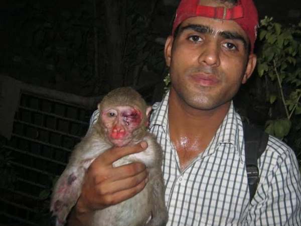 बरेली: इस खबर को पढ़कर आप कहेंगे इंसानियत जिंदा है, मेनका गांधी ने भी किया सलाम बरेली: इस खबर को पढ़कर आप कहेंगे इंसानियत जिंदा है, मेनका गांधी ने भी किया सलाम