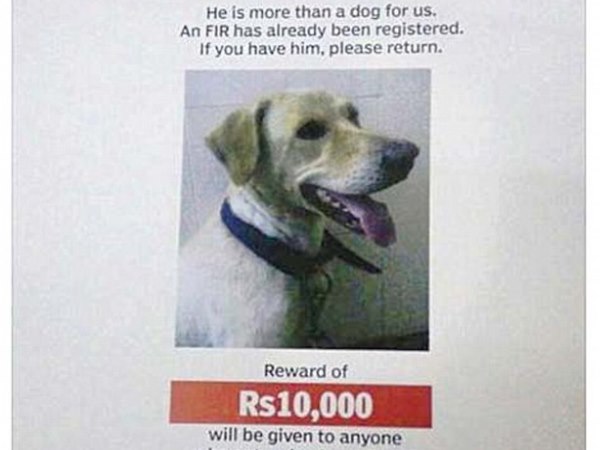 bruno एफआईआर और 10 हजार के इनाम के बावजूद नहीं मिला कुत्ता, फेसबुक ने मिलवा दिया bruno एफआईआर और 10 हजार के इनाम के बावजूद नहीं मिला कुत्ता, फेसबुक ने मिलवा दिया