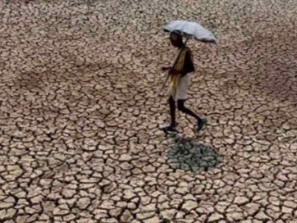 सुरेश यादव को हो रहा था खेती में नुकसान