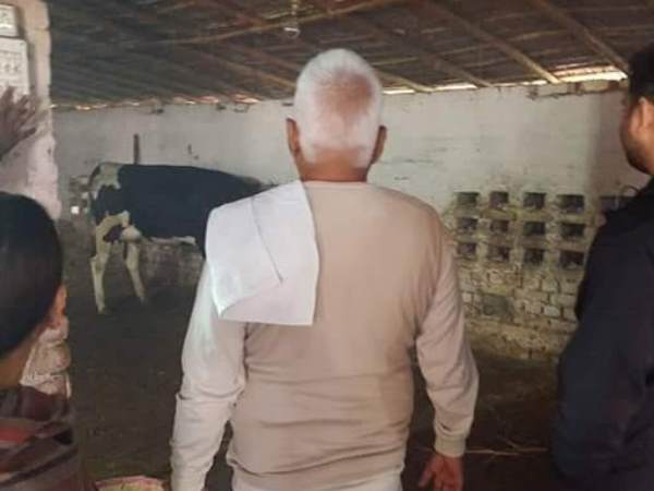 पटना: परिवार के साथ अपनी गायों का हाल-चाल लेने गौशाला पहुंचे लालू प्रसाद यादव 