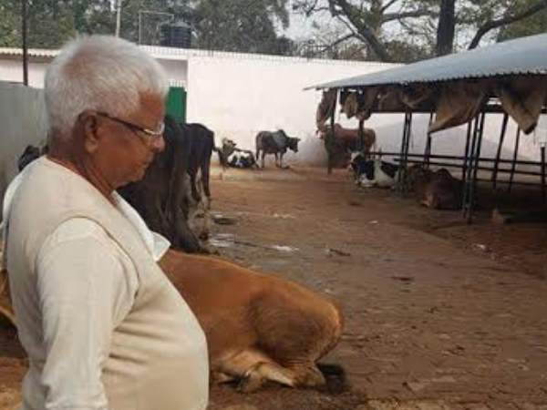 पटना: परिवार के साथ अपनी गायों का हाल-चाल लेने गौशाला पहुंचे लालू प्रसाद यादव 