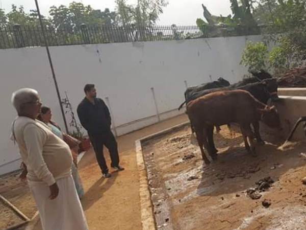 पटना: परिवार के साथ अपनी गायों का हाल-चाल लेने गौशाला पहुंचे लालू प्रसाद यादव 