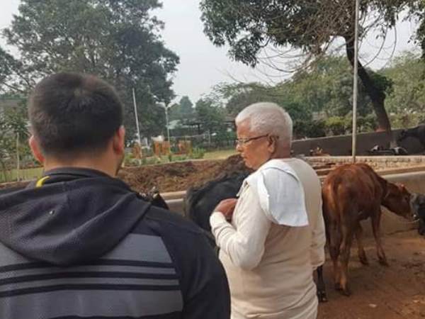 पटना: परिवार के साथ अपनी गायों का हाल-चाल लेने गौशाला पहुंचे लालू प्रसाद यादव 