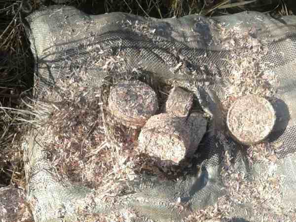 बोरों में भूसे की तरह भरे मिले 5 करोड़ रुपए के कतरे हुए नोट