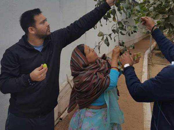 जब बेटे तेजस्वी संग बेर तोड़ती दिखीं राबड़ी देवी, देखिए तस्वीरें