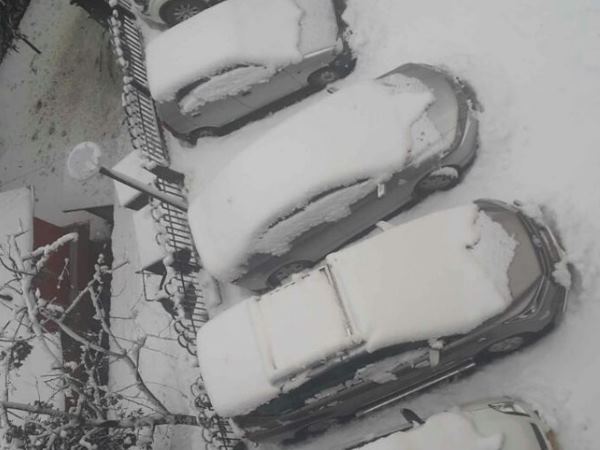 snow7 दिल्ली में बारिश तो पहाड़ों पर हुई भारी बर्फबारी, देखिए शानदार तस्वीरें