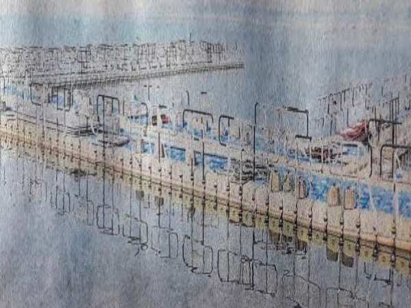 क्या कहते हैं संस्था के प्रोजेक्ट मैनेजर