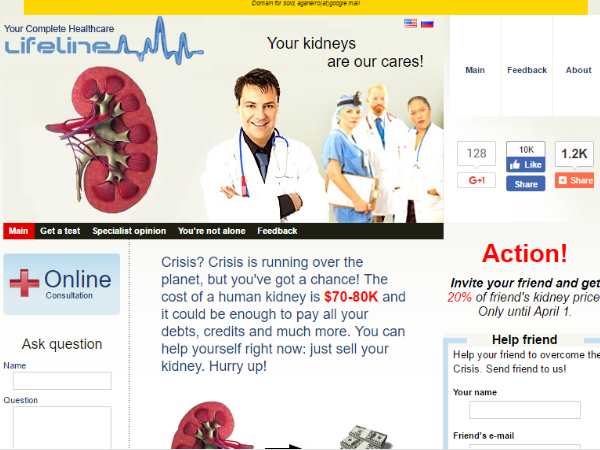 किडनी फॉर सेल किडनी फॉर सेल