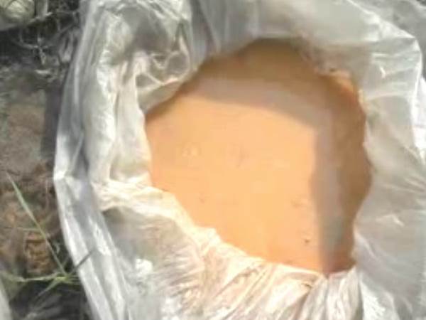 पुलिस और आबकारी विभाग की इनसे है मिलीभगत 