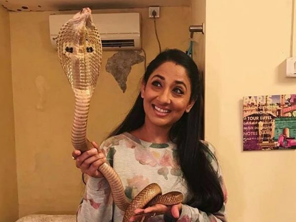 वन्य जीव अधिनियम के उल्लंघन के मामले में गिरफ्तार