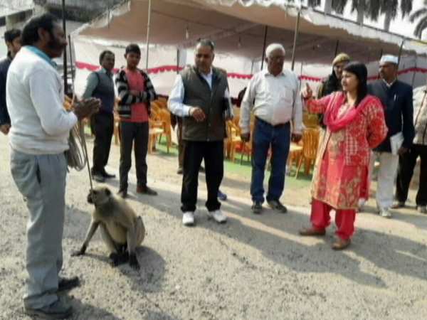 बंदरों से बचाएगी लंगूर की सेना