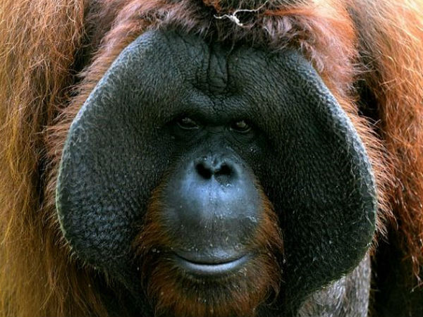 सोशल मीडिया पर डाली तस्वीर