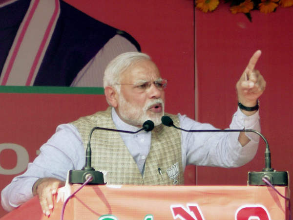 गधा भेदभाव नहीं करता है