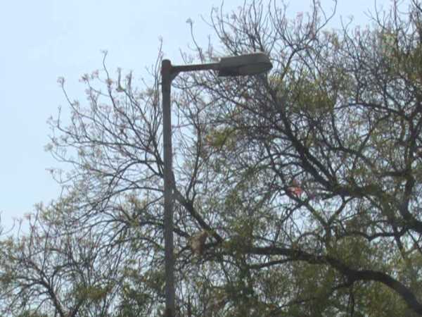 सपा प्रशासन ने नहीं दिया ध्यान