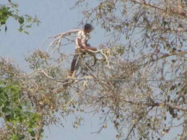 डिप्टी जेलर की कोशिश भी नाकाम