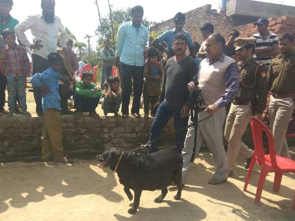संभल: बदमाशों ने नकली पुलिस बनकर 2 किसानों के घर की लूट और मारपीट