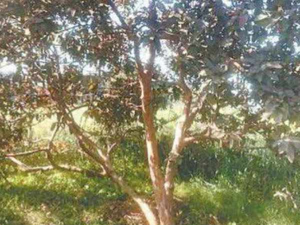 किशनपुर में ली थी पनाह किशनपुर में ली थी पनाह