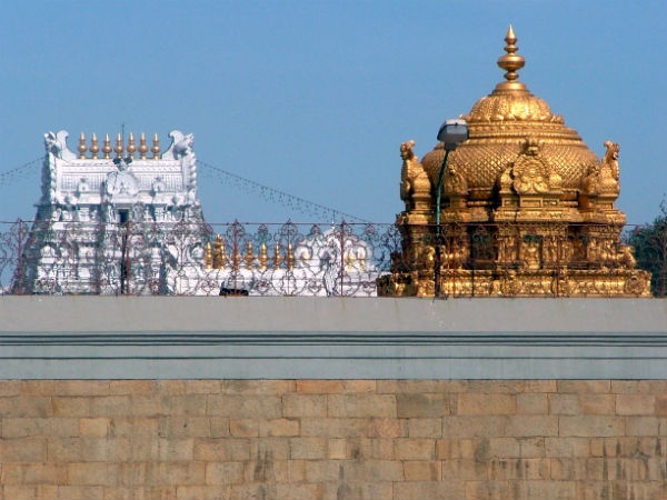 तिरुमला की पहाड़ियों पर 