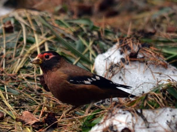 इतने बड़े स्तर पर पहली बार हुआ है सर्वे