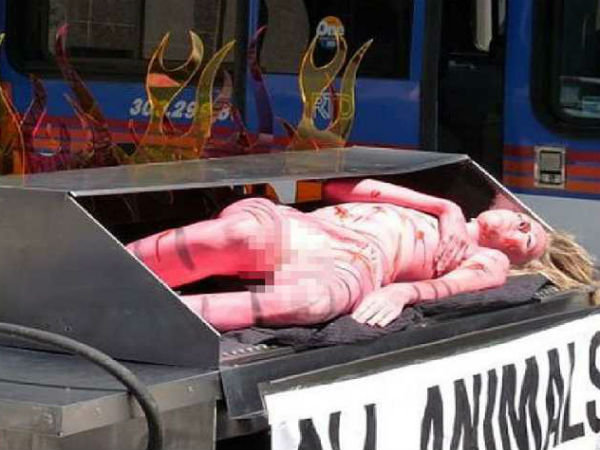 जानवरों को बचाने की कोशिश